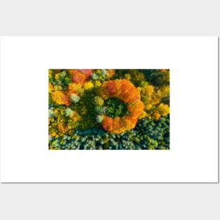 Aerial top down view of vibrant colorful autumn forest Posters and Art